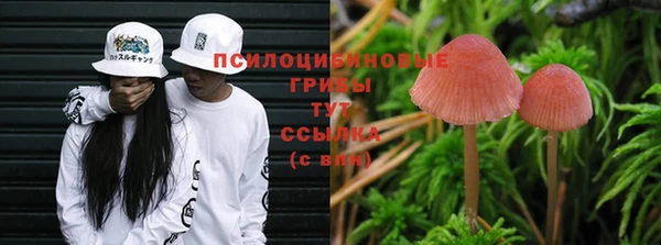 мескалин Зерноград