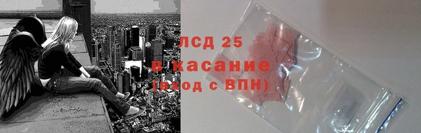 спиды Зеленокумск