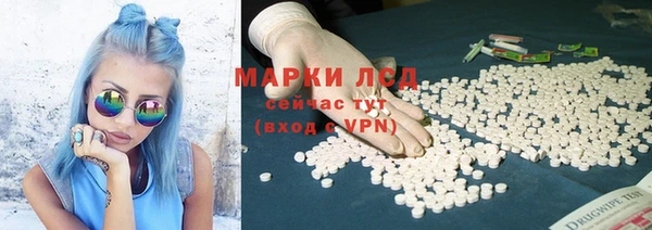 спиды Зеленокумск