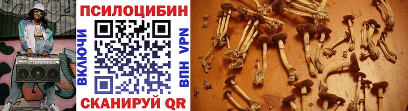 Купить закладки  Липки  Псилоцибиновые грибы GOLDEN TEACHER 